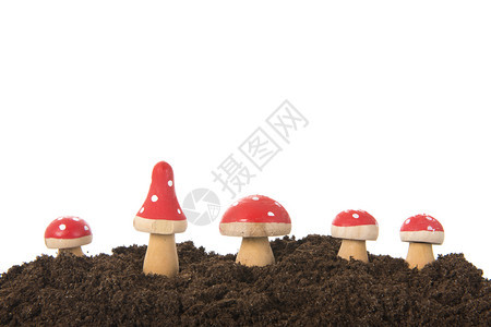 不同的落下排装饰用红色的木蘑菇和白点图片