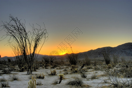 拉纳佩加利福尼亚沙漠景观日出博雷戈图片