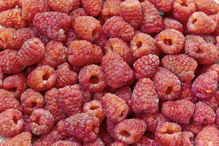 新鲜的浆果健康背景相片新鲜红草莓照片背景图片