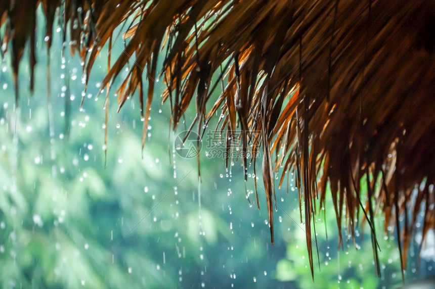 雨中草棚图片