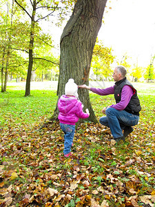 树木绿色自然和爸一起喂松鼠的女孩和爸在树林里喂松鼠的女孩图片