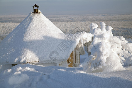 冬天雪地里的树屋图片