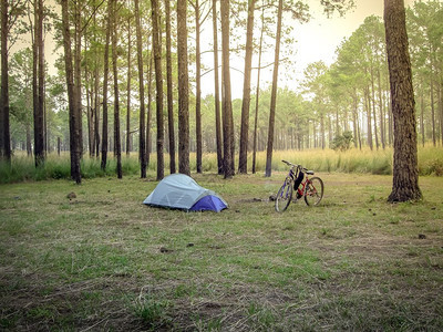 林中露营自由野旅行图片