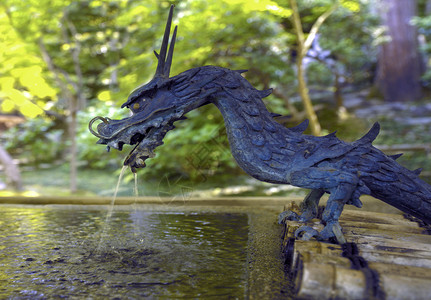 善凛寺日本京都市EikandoEikandoEikandoZenrinji寺庙的龙喷泉爱坎多生物图片