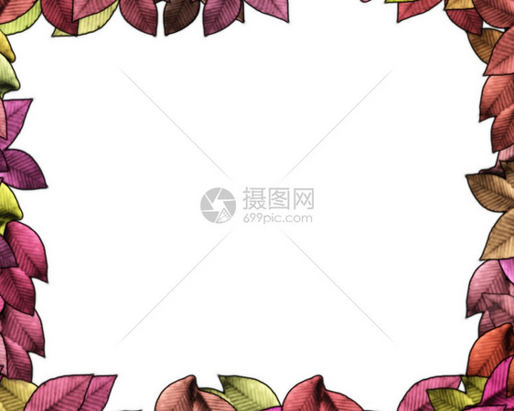 秋叶边框背景图片