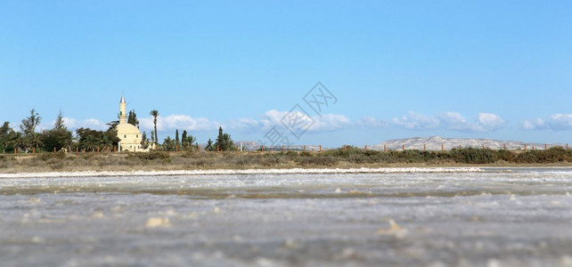 手掌古老的风具有清真寺和盐湖底棕榈的塞浦路斯Larnaka地貌景观图片