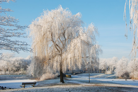 蓝色的雪天空寒冬蓝图片