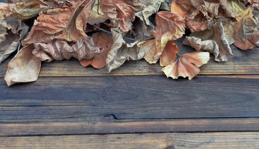 木桌上的枯叶背景图片