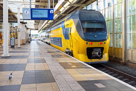 阿姆斯特丹的火车图片