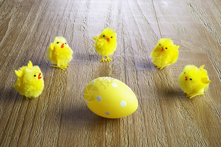 桌子假期木制背景中的黄色复活节彩蛋和鸡小图片