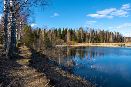 一座小型森林湖反映了春天的蓝和白乌云树木色的景观图片