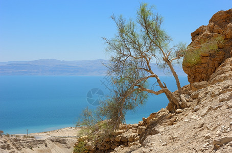 死的朱迪亚水EinGedi保留地区犹太山坡上死海的景象6105图片
