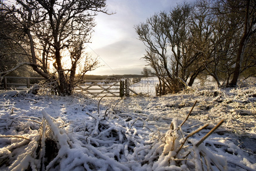 农田英国格兰北部约克郡戴尔斯的冬季早晨王国图片