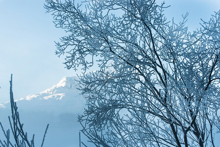 冬天的雪山霜降图片