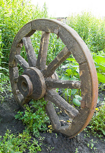 古董历史绿色草地背景的旧轮式棕色的图片