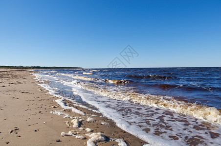 俄罗斯阿尔汉盖克地区自然海岸图片