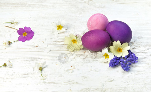 假期在春花和瓣的桌上以粉色和紫漆成东方鸡蛋春天室内的图片