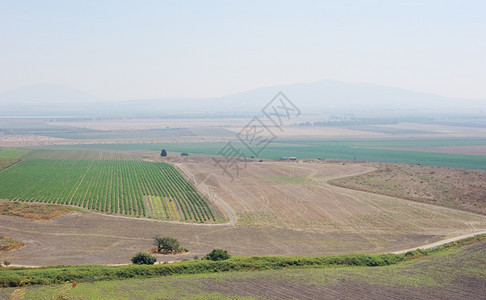 自然阴霾以色列北部卡梅尔谷地吉多山的景象夏天图片