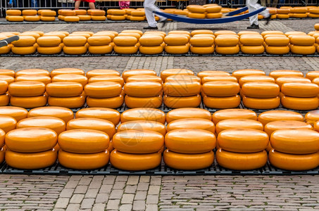 起司乳制品荷兰阿尔克马传统荷兰乳酪市场旅游图片