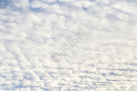 大气层户外蓝色的天空与白花云蓬松图片