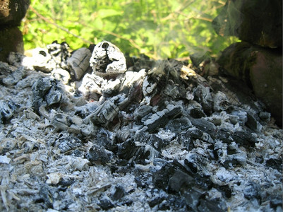 燃烧自然火之后的青和煤炭绿色图片