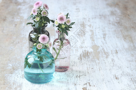 花瓶中的粉红色朵锅白的芽图片