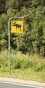 道路标志注意危险轮廓森林图片
