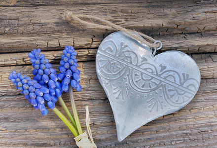 花朵春蓝和铁心在一个生锈的板子上庆典蓝色的图片