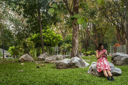 结石树一个美丽的亚洲女孩正在花园的一块大石头上观看智能手机一种图片