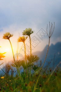 不同时节的山间风景图片