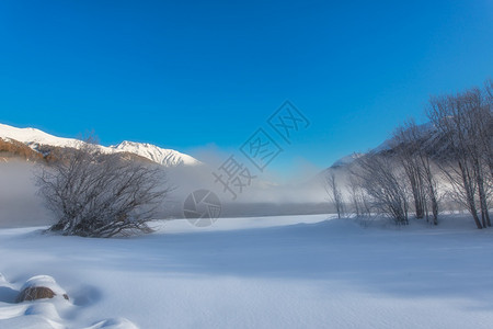 冬季雪后风光背景图片