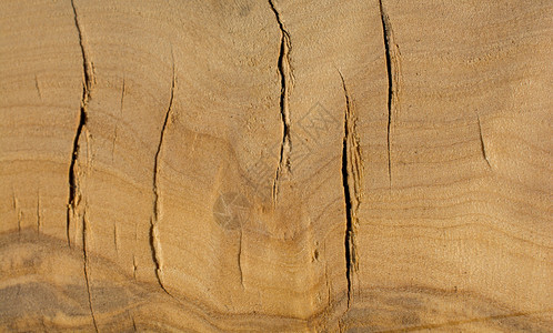 模式地面木板以自然形态为背景的木质纹理图片