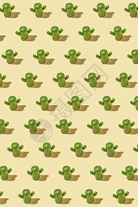 优质的夏天Cactus模式背景质地图片