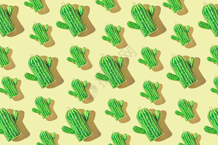 Cactus模式背景锋利的植物夏天图片