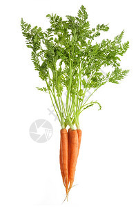 白色背景孤立的胡萝卜叶子素食主义者绿色图片