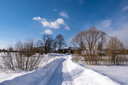 一种风景优美在个小村庄里条狭窄的公路在阳光明媚的冬天俄罗斯雪图片