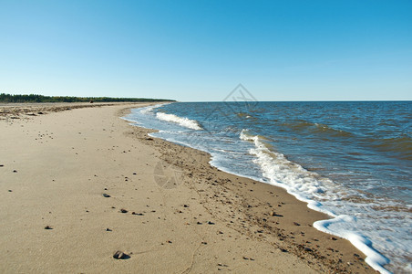 博美犬水海岸俄罗斯阿尔汉格克地区白海图片