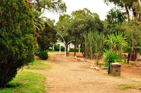 植物阿加迪尔市摩洛哥Olhao公园1960年地震博物馆城市自然图片