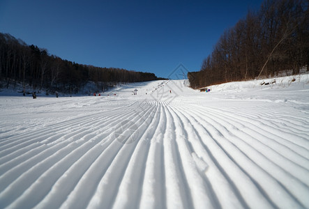 滑雪的雪道图片