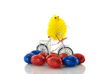 黄色的乐趣骑着自行车的快乐东方小鸡在白色的单车上被孤立引导图片