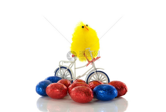 黄色的乐趣骑着自行车的快乐东方小鸡在白色的单车上被孤立引导图片