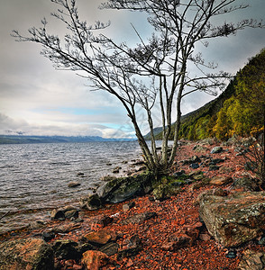 红色的怪物苏格兰高原地尼斯湖海岸线水图片