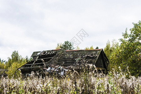 在一个无人居住的村庄里被摧毁木屋在俄罗斯一个阴云多的秋天自然毁坏一种图片