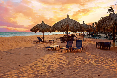 自然热带暮日落时在加勒比阿鲁巴岛的Druif海滩上的Beach伞式树枝图片