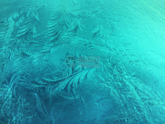 花朵质地冷冻玻璃冰花冬季背景抽象纹理冷若冰霜图片