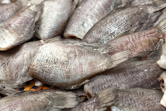 食物在亚洲市场销售的食腐鱼晒干泰国图片