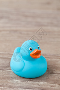 玩具橡胶乐趣用于洗澡的彩色橡皮鸭照片图片