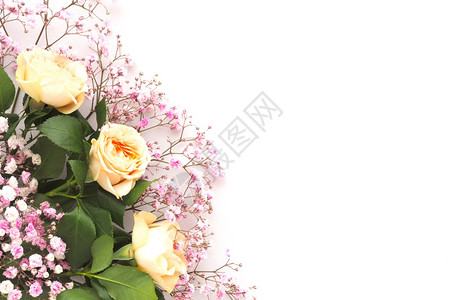 婚礼晋升店铺白色背景复制空间上的玫瑰和吉普西拉图片