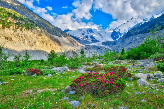 山下的绿植和花朵图片