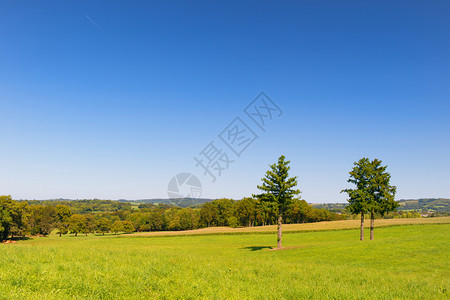典型的法国农业景观有绿山林新阿基坦豪华轿车丘陵图片